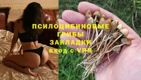 спиды Майский