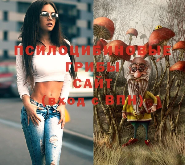 СК Анива