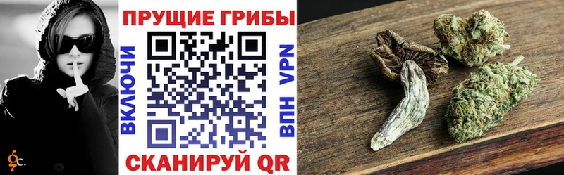 даркнет сайт  Нюрба  Галлюциногенные грибы MAGIC MUSHROOMS 